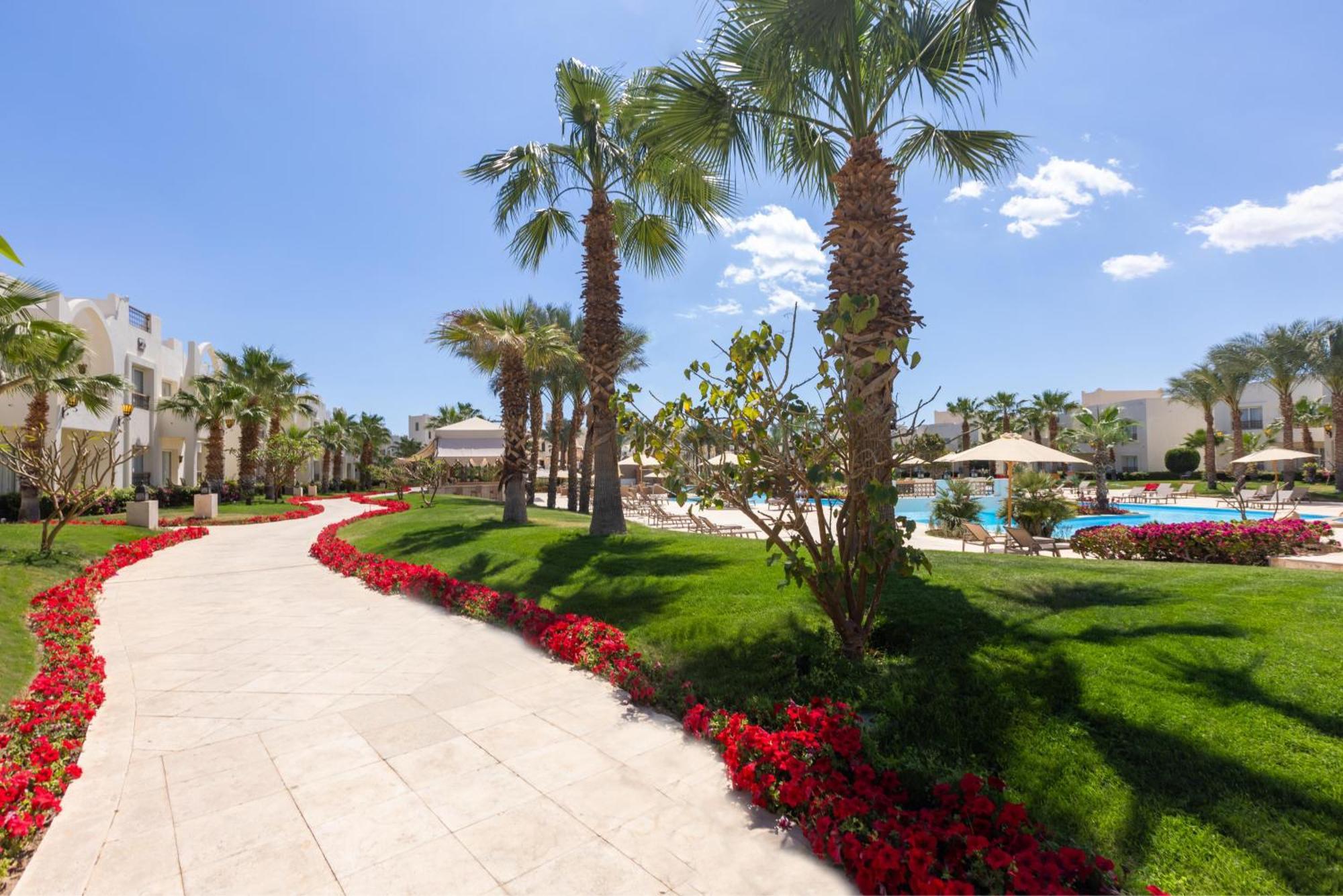 Resort Swissotel Sheikh Collection 5*