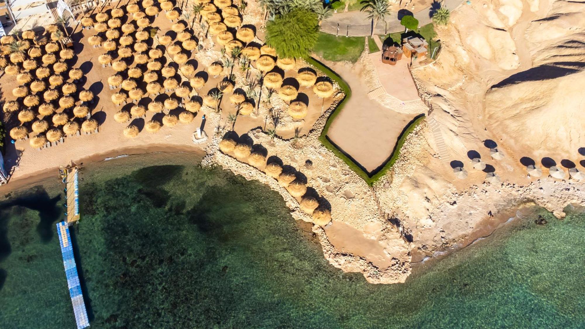 Swissotel Sheikh Rezort 5*